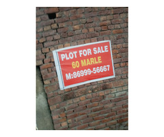 10 marla plot for sale