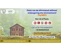 Pest Control in Bangalore