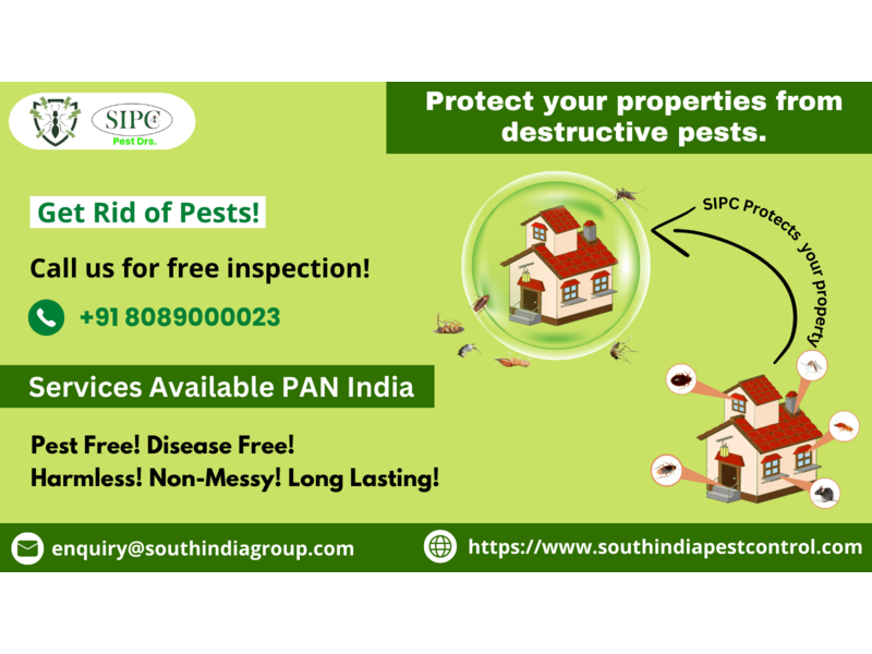 Pest Control Services in Goa - 1