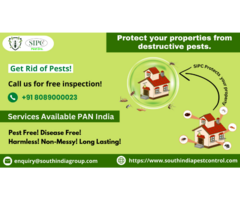 Pest Control Services in Goa