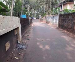 260 ft² – 6 cent land for sale at Jagathy.