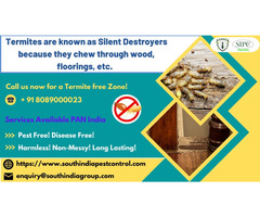 Termite Control in Bangalore