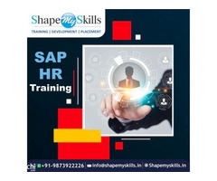 Best SAP HR Training in Delhi