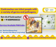 Cockroach Control in Goa