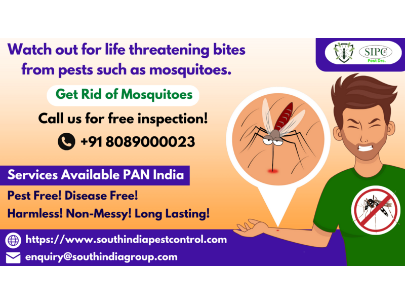 Mosquito Control in Bangalore - 1
