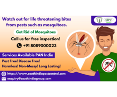 Mosquito Control in Bangalore