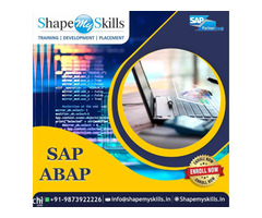 Best SAP ABAP Training Course in Noida