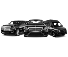 BOSTON LIMO SERVICE - Image 4