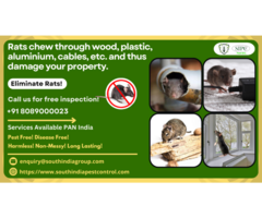 Rodent Control Services in Bangalore