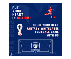 Fansportiz Fantasy Sports app development company - Image 1
