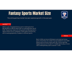 Fansportiz Fantasy Sports app development company - Image 2