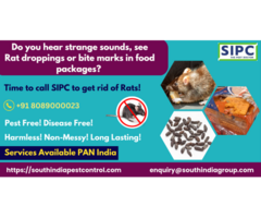 Rodent Control in Chennai
