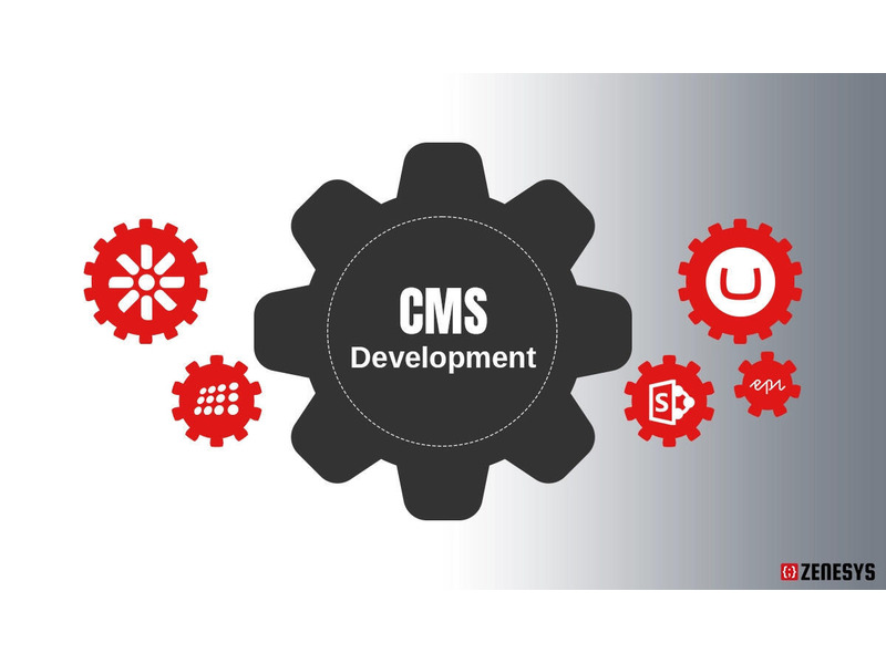 CMS services in Texas | Zenesys - 1