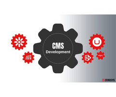 CMS services in Texas | Zenesys