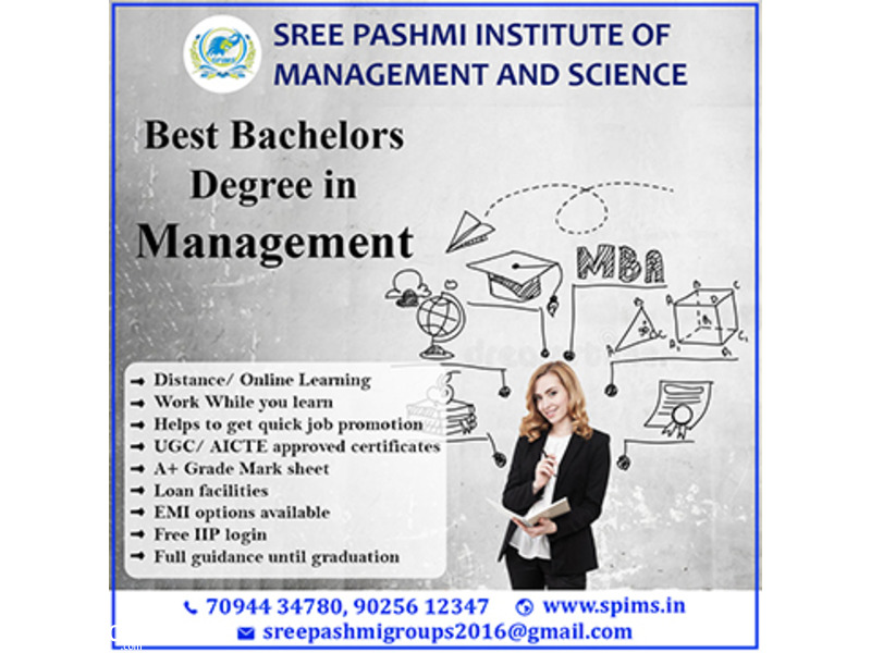 Best Bachelors Degree in Management - 1