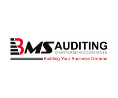 BMS Auditing Dubai | Audit Firms in Dubai | Audit UAE | Accounting Services | VAT Services | Tax Age