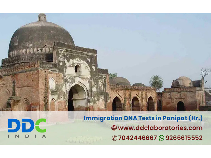 Is Immigration DNA Tests in Panipat Important for Visa Approval? - 1