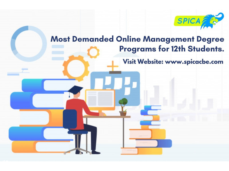 Most Demanded Online Management Degree Programs for 12th Students - 1