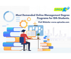 Most Demanded Online Management Degree Programs for 12th Students