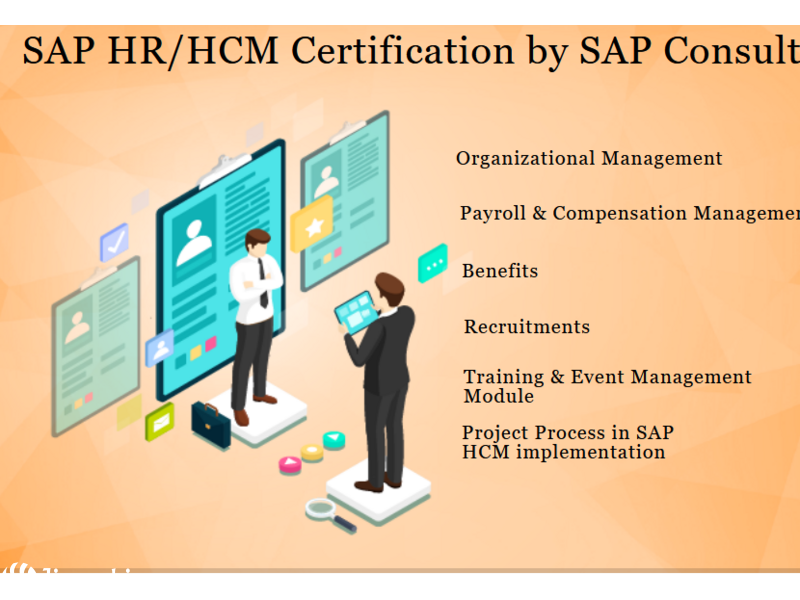 SAP HR HCM  Certification Institute, Delhi, Noida, Ghaziabad, Faridabad Gurgaon, 100% Job. Salary Up - 1