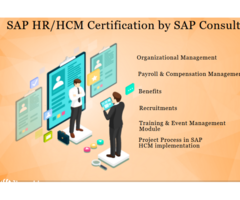 SAP HR HCM  Certification Institute, Delhi, Noida, Ghaziabad, Faridabad Gurgaon, 100% Job. Salary Up