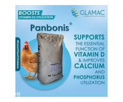 Panbonis: Complementary poultry feed | Glamac