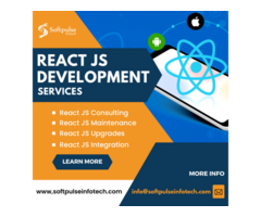 Hire ReactJS Developers | Dedicated ReactJS Development Team