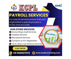 Kaali Consulting, India-s Top Consultancy Services - Image 2