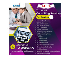 Kaali Consulting, India-s Top Consultancy Services - Image 3