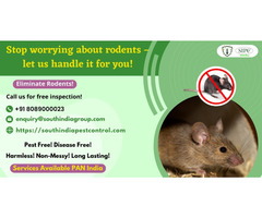 Rat Control Services in Bangalore
