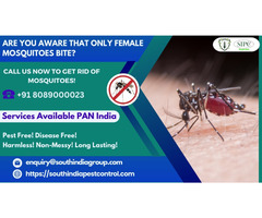 Mosquito Control Services in Bangalore