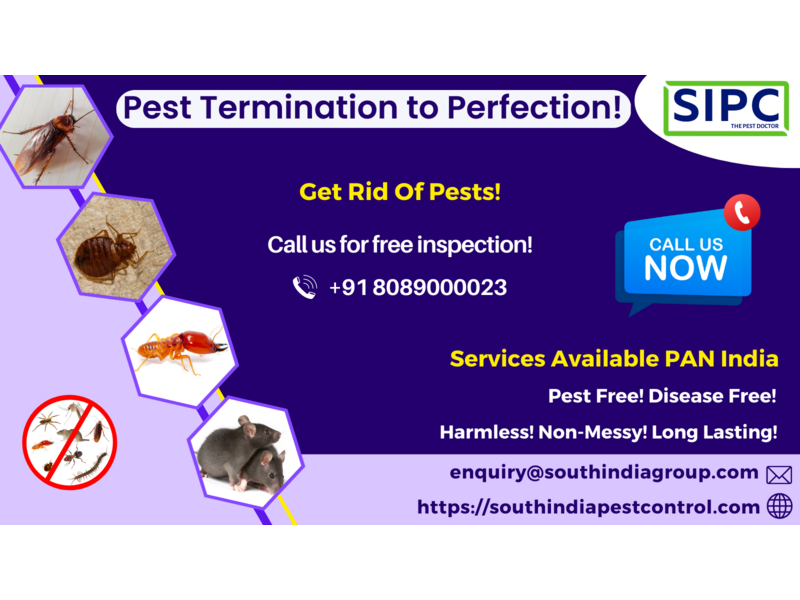 Best Pest Control Services in Mumbai - 1