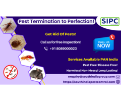 Best Pest Control Services in Mumbai