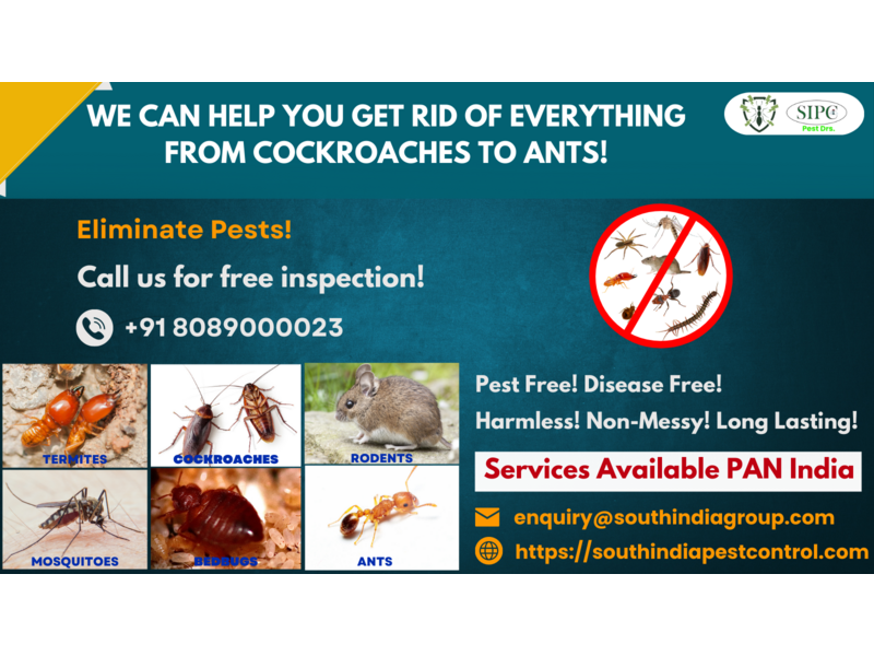 Best Pest Control Services in Bangalore - 1