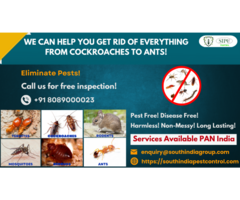 Best Pest Control Services in Bangalore