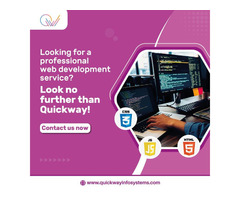 Get web application development @60% less cost