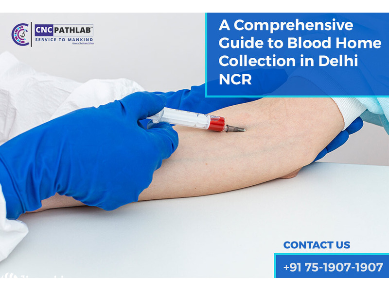 A Comprehensive Guide to Blood Home Collection in Delhi NCR - 1