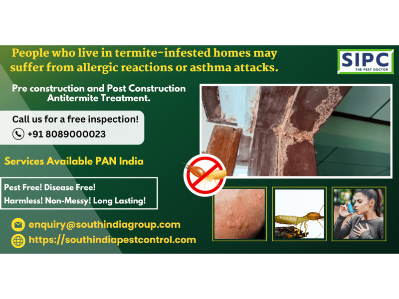 Termite Pest Control in Mumbai - 1