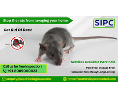Rat Control in Hyderabad