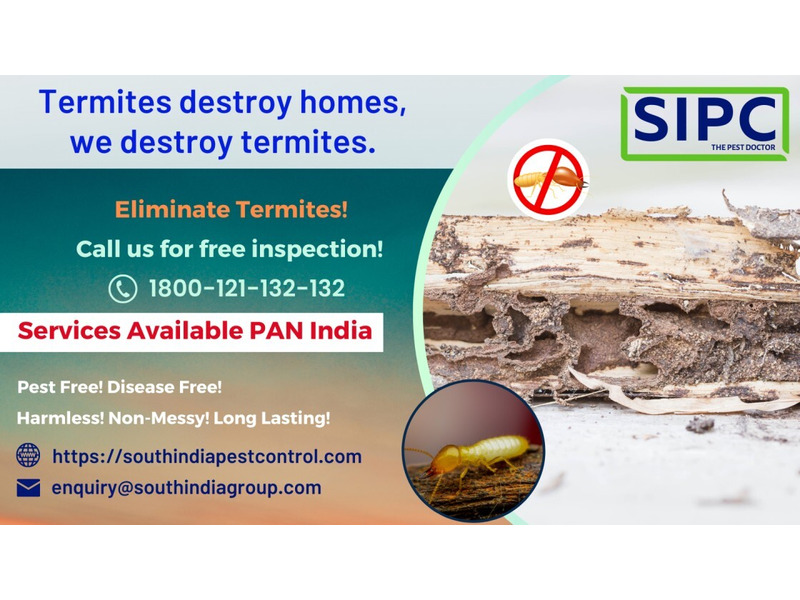 Termite Control Services in Delhi - 1