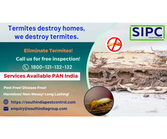 Termite Control Services in Delhi