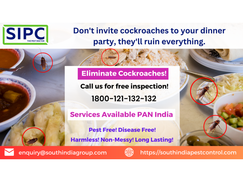 Cockroach Pest Control in Mumbai - 1