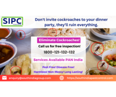 Cockroach Pest Control in Mumbai