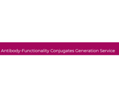 Antibody Functionality Conjugate