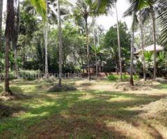 28310 ft² – 65 cent Residential Land / Plot for sale in Mangalapuram