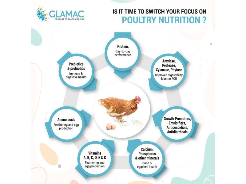 Glamac: Best Poultry Feed Company in India - 1
