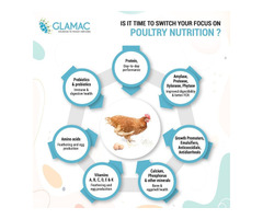 Glamac: Best Poultry Feed Company in India