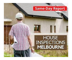 Pest And Building Inspections - Image 3