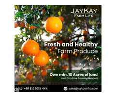 10 acre plot for sale near Gulbarga | Jaykay infra