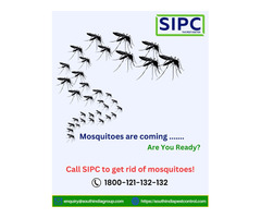 Mosquito Control in Hyderabad